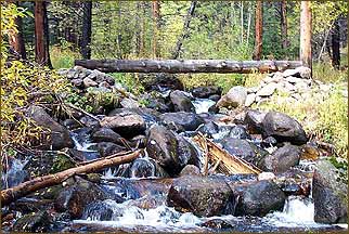 Meadow Creek Log Bridge